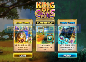 Слот King of Cats Megaways от BTG