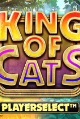 Игровой автомат King of Cats Megaways: играть бесплатно