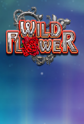 Игровой автомат Wild Flower: играть бесплатно